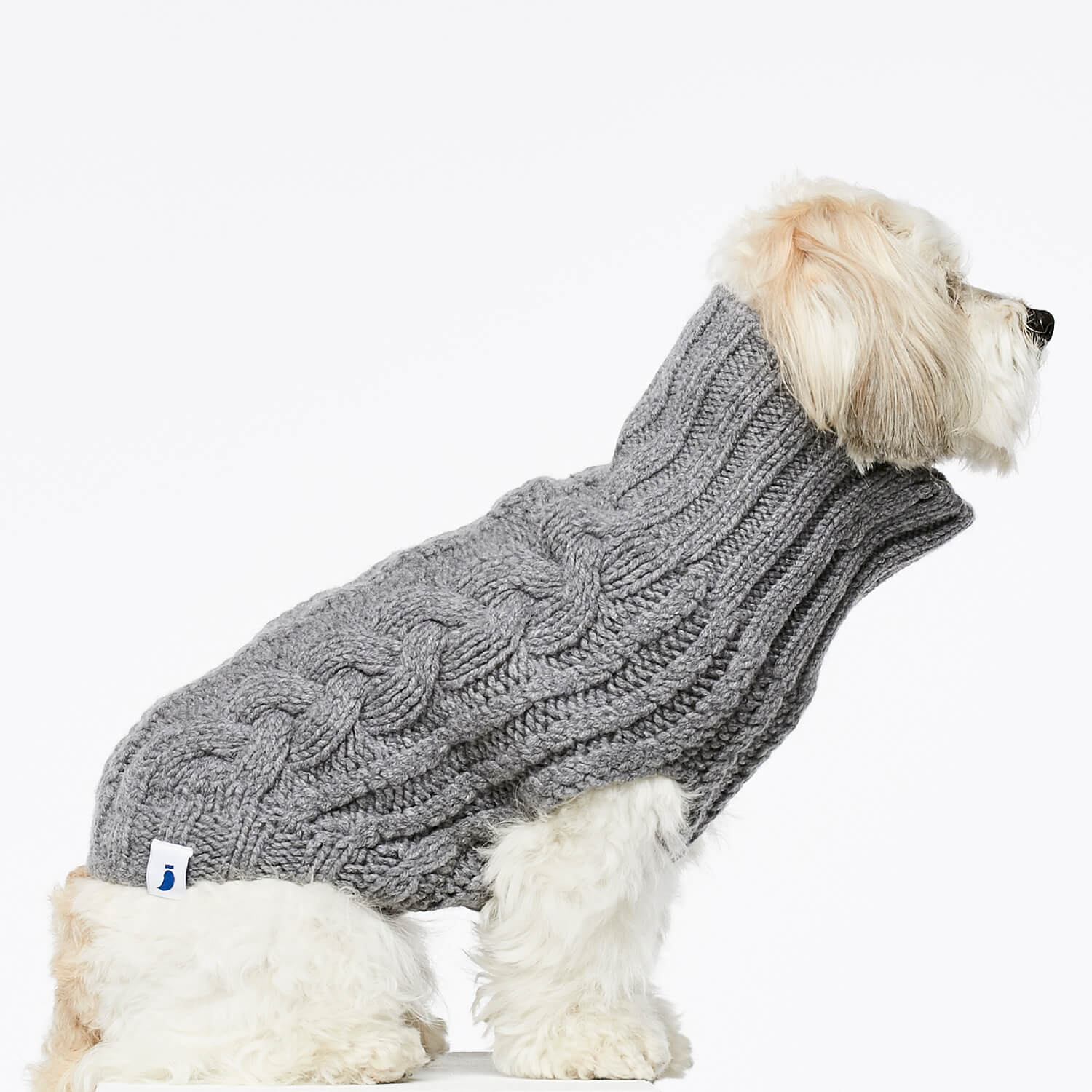 Grey cashmere \u0026 merino wool knitted dog 